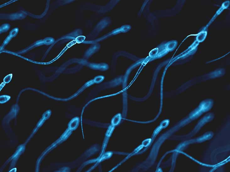 Sperm transmits the common cold